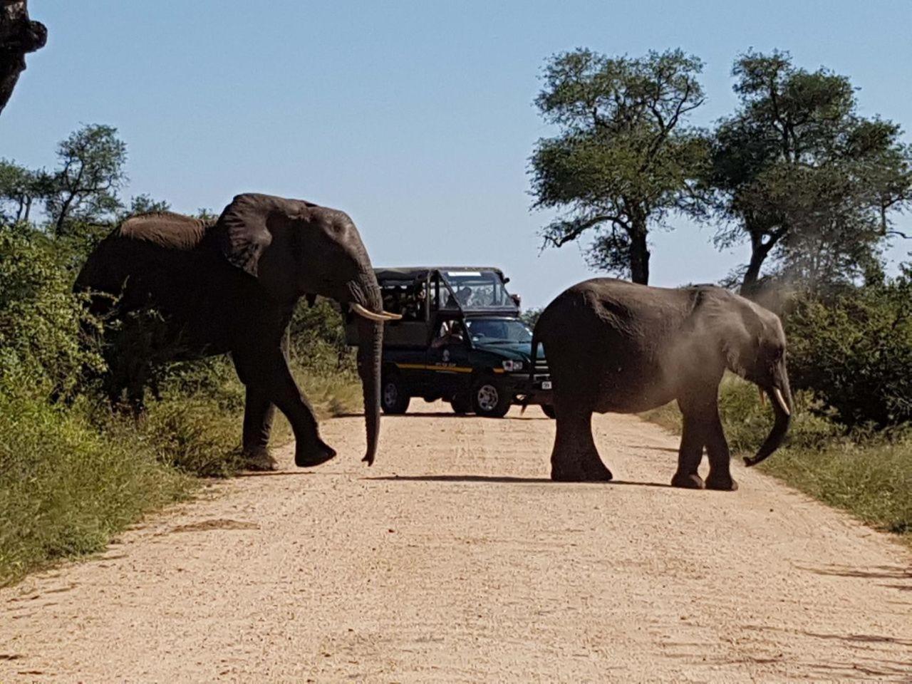 Ekhaya Bush Lodge Hoedspruit Esterno foto