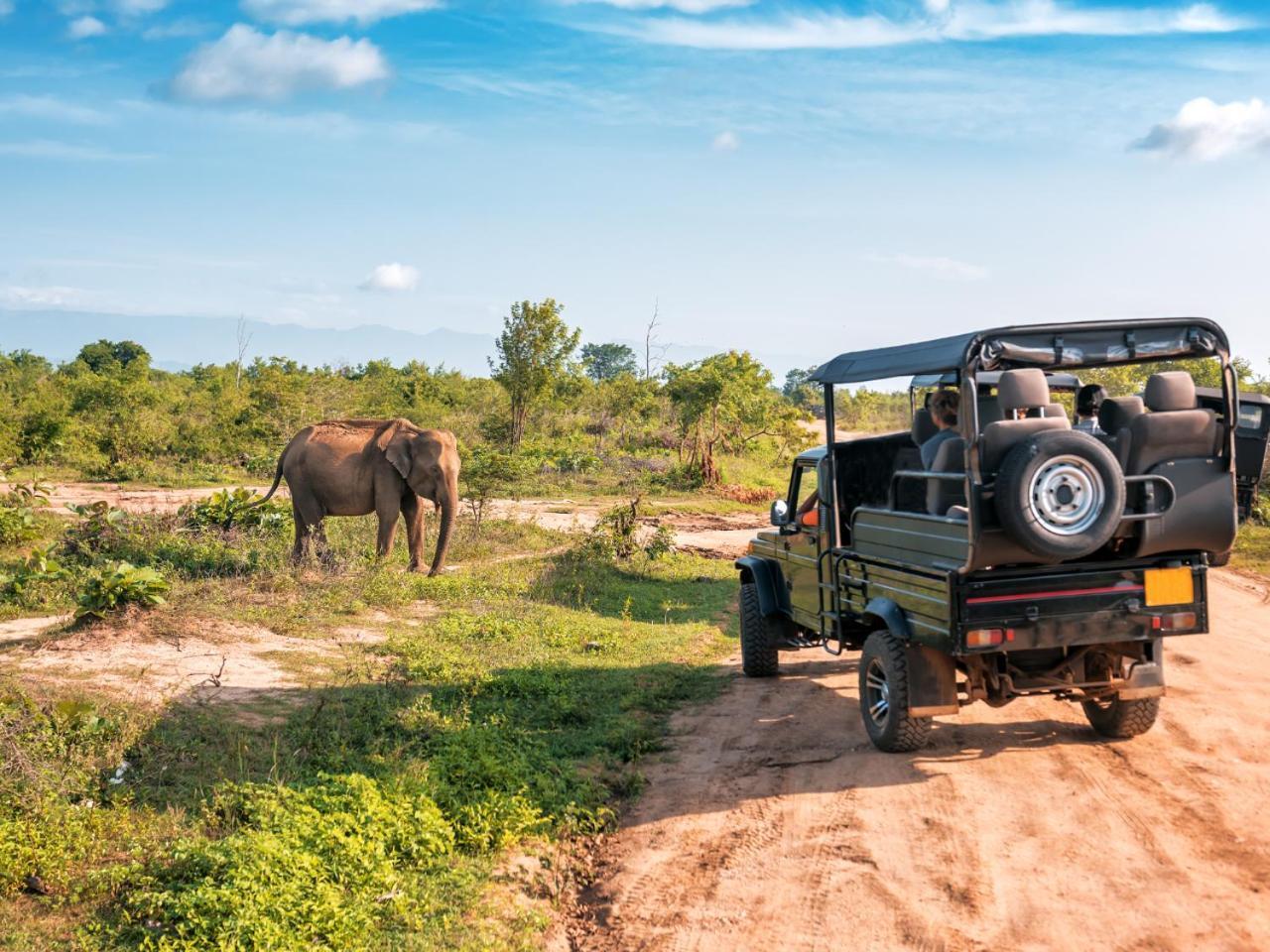 Ekhaya Bush Lodge Hoedspruit Esterno foto