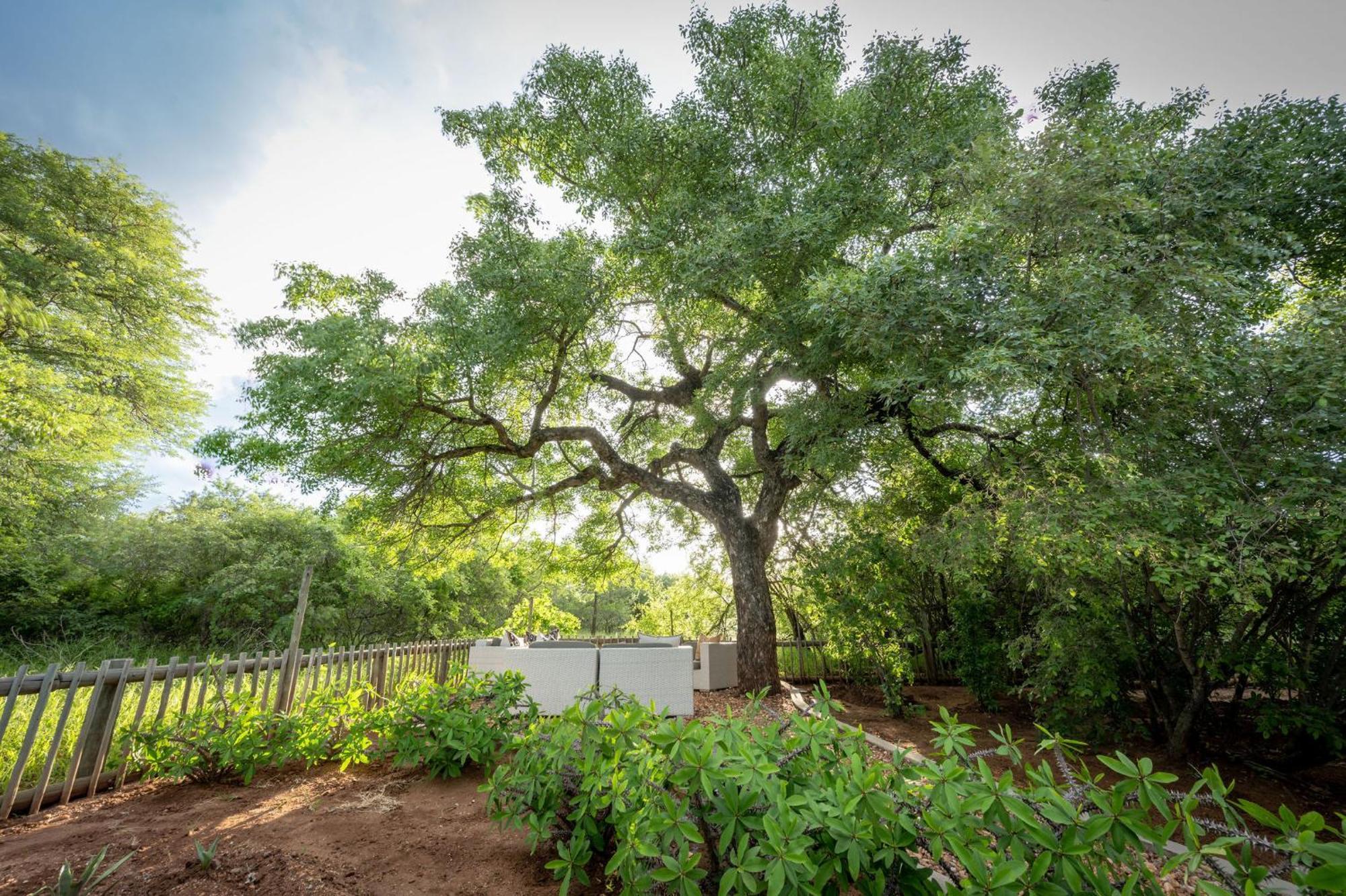 Ekhaya Bush Lodge Hoedspruit Esterno foto